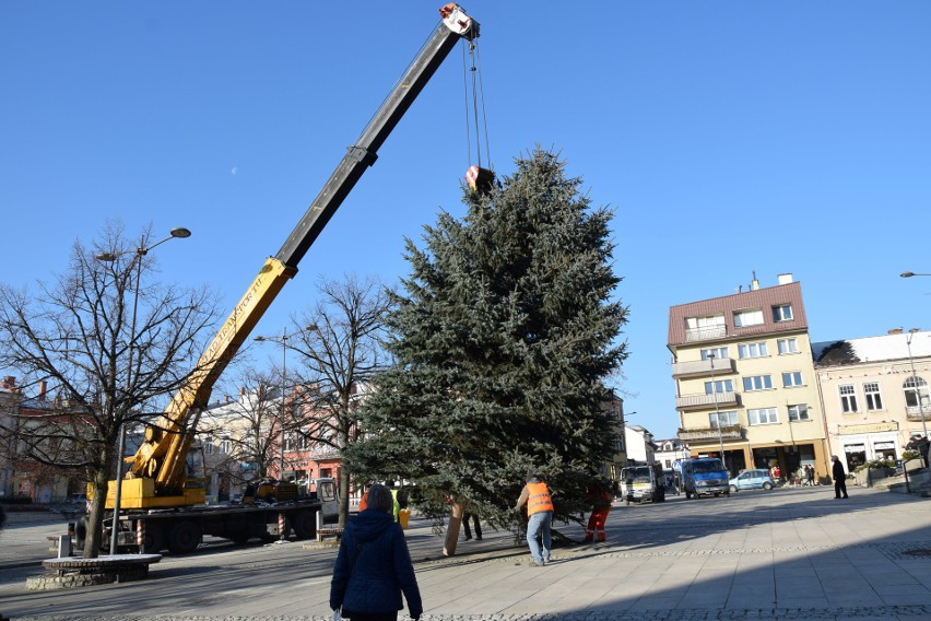 W Gorlicach zapachniało świętami. Nieco wcześniej niż zwykle, na płycie rynku stanęła choinka. Światełkami rozbłyśnie 6 grudnia