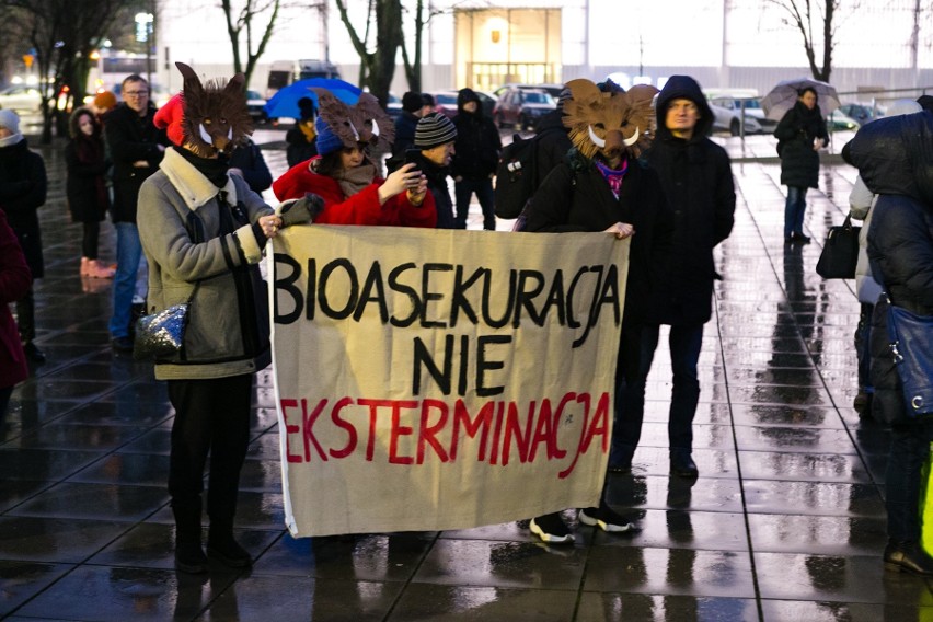 Szczecinianie protestują przeciw odstrzałowi dzików. "To barbarzyńskie rozporządzenie!" [ZDJĘCIA, WIDEO]