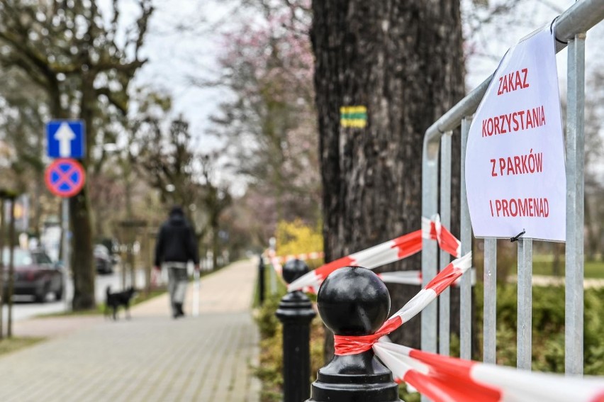 Będzie znów można iść do parku, lasu czy na plażę? To okaże...