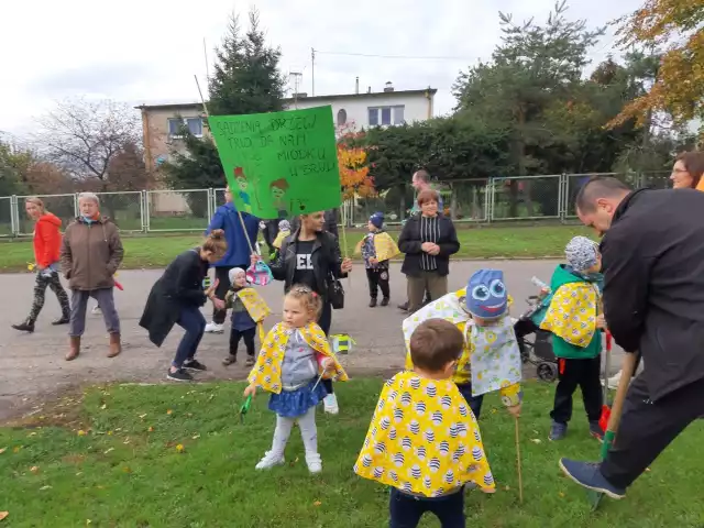 Lipy sadzono przy głównej drodze we wsi.