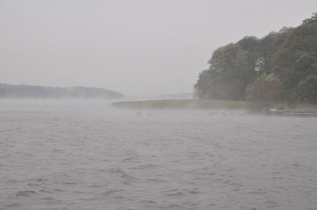 Mieszkańcy Szczecinka byli świadkami niecodziennego zjawiska, jakim były kłęby pary wodnej unoszącej się znad wody jeziora Trzesiecko. 