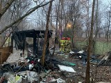 Tragiczny pożar altany w Bielsku-Białej. Znaleziono zwęglone zwłoki mężczyzny
