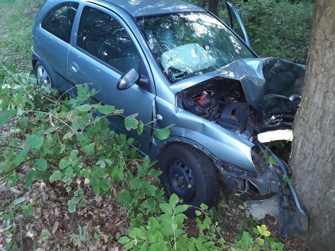 Groźny wypadek w Łoniowie. Samochód wypadł z krajowej trasy i uderzył w drzewo