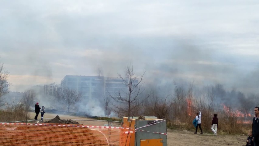 Groźny pożar na Krzykach. Płomienie kilkanaście metrów od bloków [ZDJĘCIA]