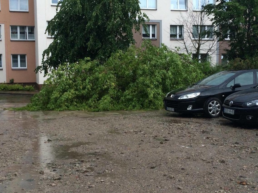 Burza w województwie podlaskim 17.06.2016. Połamane drzewa, zablokowane drogi, zerwanie linie 