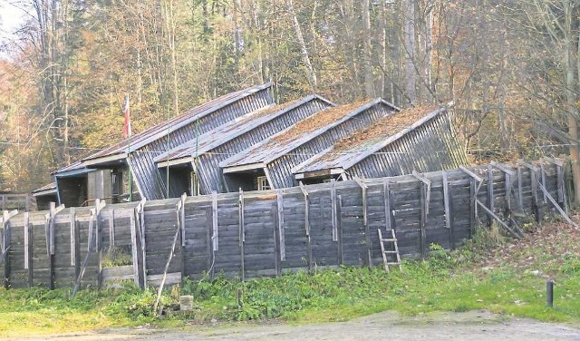 Krynica to kolebka saneczkarstwa. Na Górze Parkowej, powstał pierwszy w Polsce drewniany tor. Jego pozostałości niszczeją