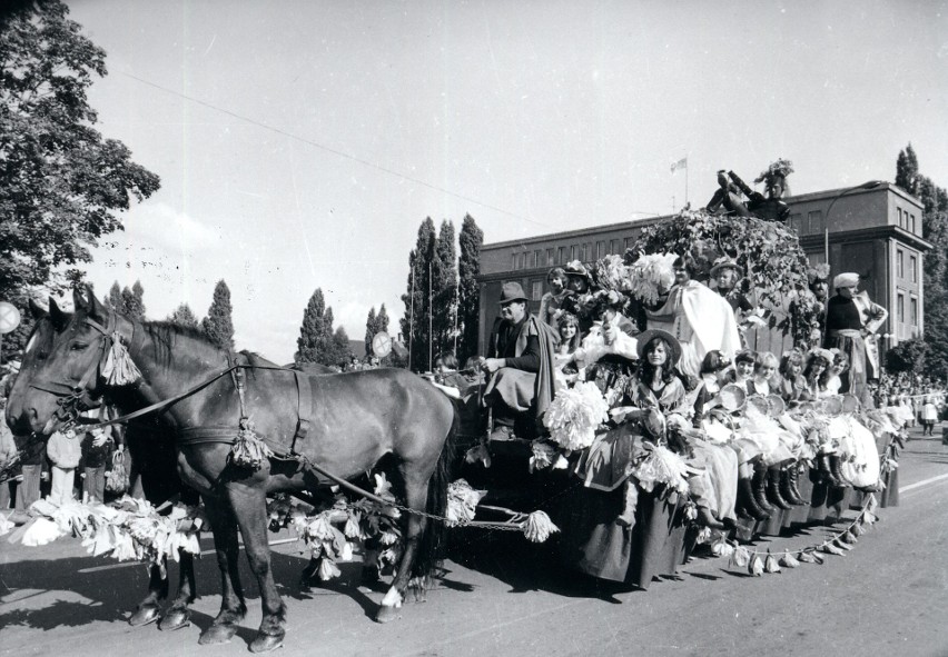 W 1948 roku zapasy moszczów się skończyły i produkcja wina...