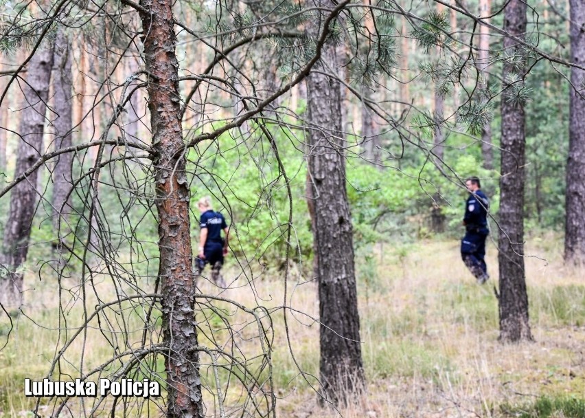 W poszukiwania 73-latki zaangażowanych było ponad 150 osób