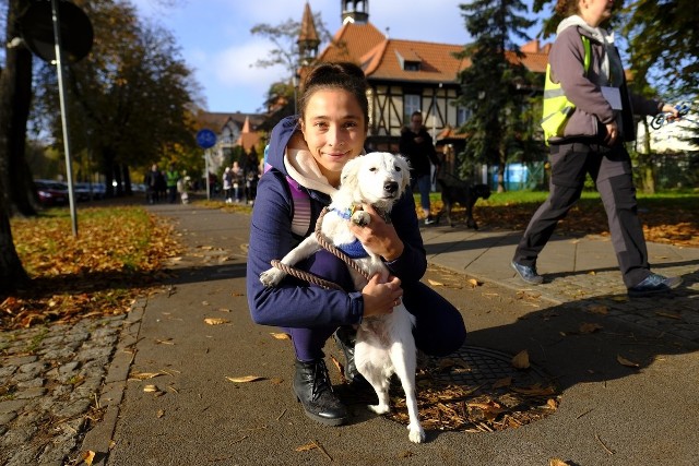 W Toruniu odbył się I Toruński Marsz Adopciaków. W imprezie wzięli udział szczęśliwi właścicieli zwierząt, którzy zaadoptowali je z toruńskiego schroniska. Uczestnicy marszu razem ze swoimi pupilami przeszli z parku na Bydgoskim Przedmieściu na Rynek Staromiejski. Obejrzyjcie naszą fotorelację.