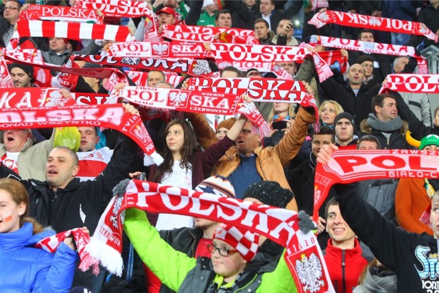 Polska - Irlandia: W Poznaniu reprezentacja Polski grała mecz towarzyski z Irlandią. Teraz gramu mecz w eliminacjach Mistrzostw Europy