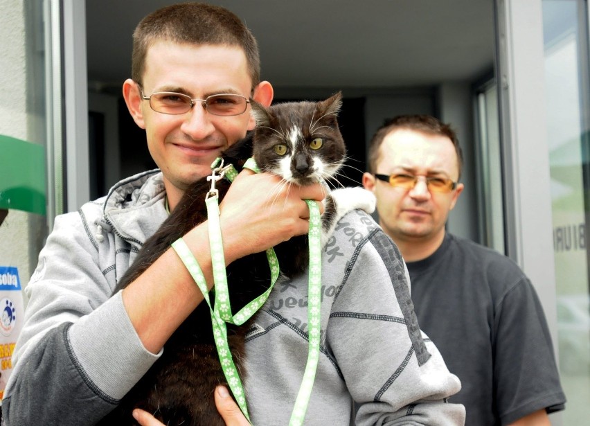 Emil Badach zabrał kotkę do domu