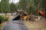 Po wichurze park wygląda, jak pobojowisko! Obowiązuje tam zakaz wstępu [ZDJĘCIA]