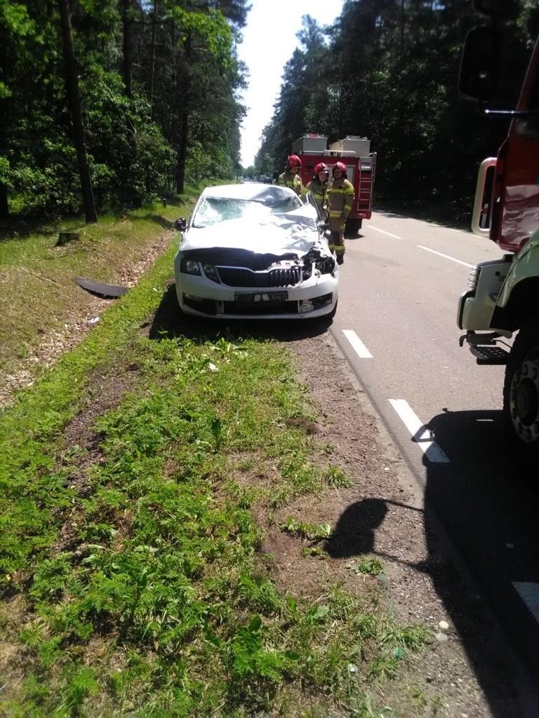 DK 65. Kolejny wypadek. Uważajcie na tej drodze na zwierzęta! (zdjęcia)