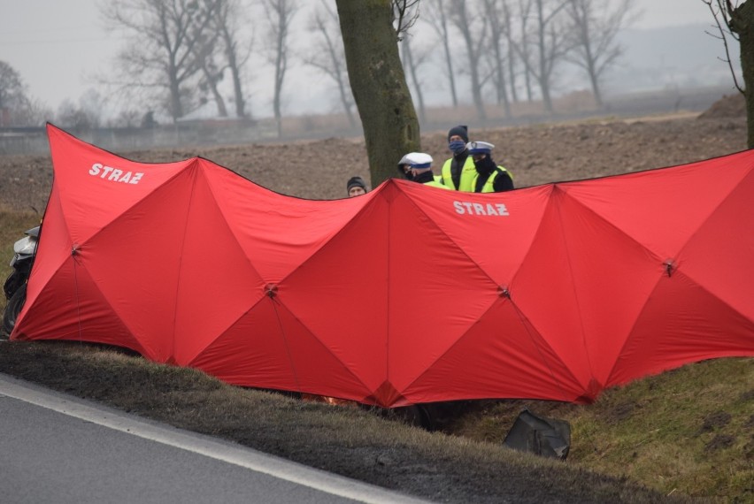 Według wstępnych ustaleń policjantów wynika, że 21-letni...