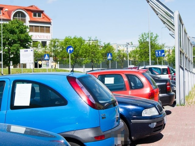 Większość samochodów stojących na parkingu to auta przeznaczone do sprzedaży. 