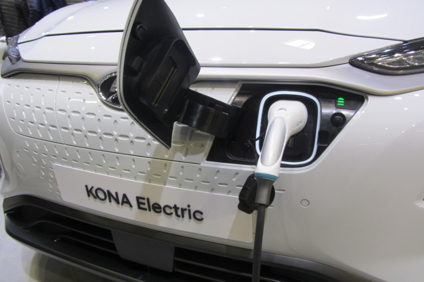 Poznań: Po mieście jeździ już 310 pojazdów elektrycznych. Nowe od przyszłego roku dostaną zielone tablice rejestracyjne