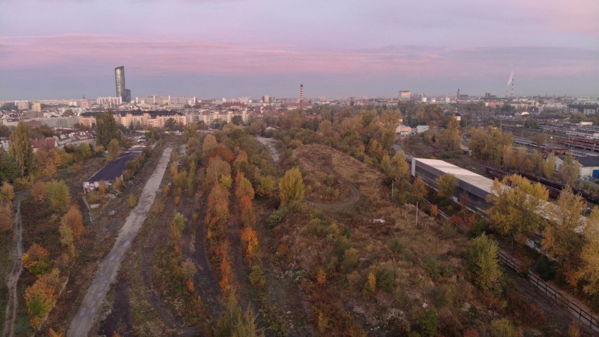 Park Henrykowski we Wrocławiu.