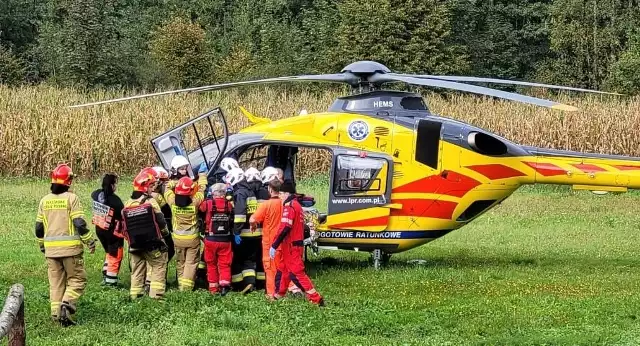 W Jawiszowicach (powiat oświęcimski) doszło do wypadku przy wycince drzew. Ucierpiał pracownik firmy prowadzącej prace. Na pomoc wezwano śmigłowiec LPR.