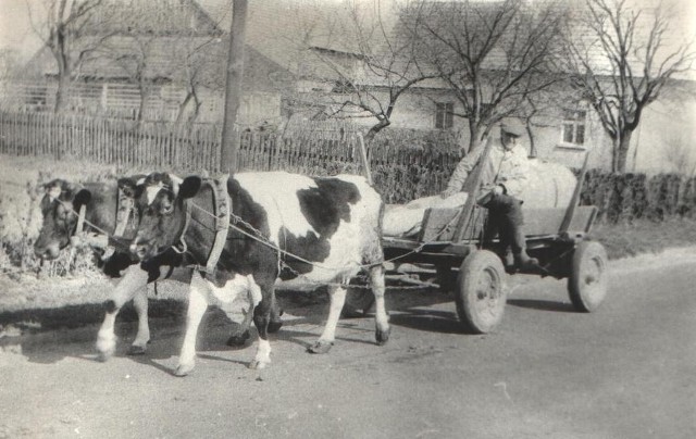 Wielkopolska wieś. Tak wyglądała 30 lat temuWieś wielkopolska sprzed lat. Marzec 1977, Bukowiec Górny w byłym województwie leszczyńskim