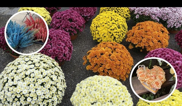 Zobaczcie, jaki był wybór kwiatów i wiązanek na kieleckich bazarach w piątek 27 października