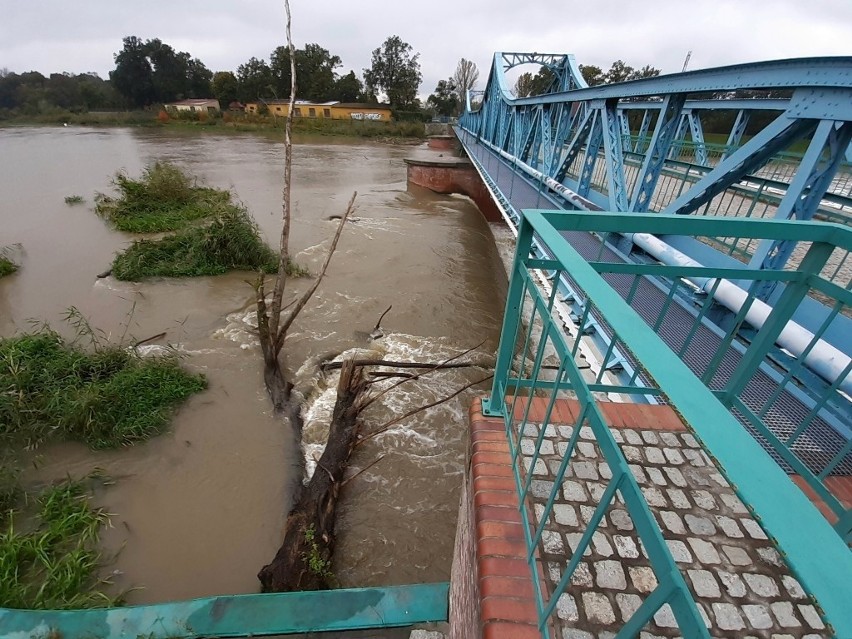 Wrocław: "Nie pamiętamy tutaj takiej wody od powodzi tysiąclecia". Czy Kozanów jest bezpieczny?
