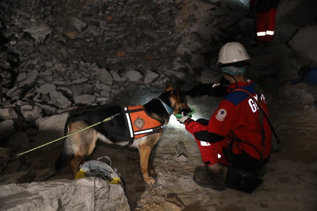 Ratownicy wraz z psami z grupy podhalańskiej Górskiego Ochotniczego Pogotowia Ratunkowego ćwiczyli w Kopalni Soli w Wieliczce prowadzenie akcji ratowniczej w podziemnych warunkach