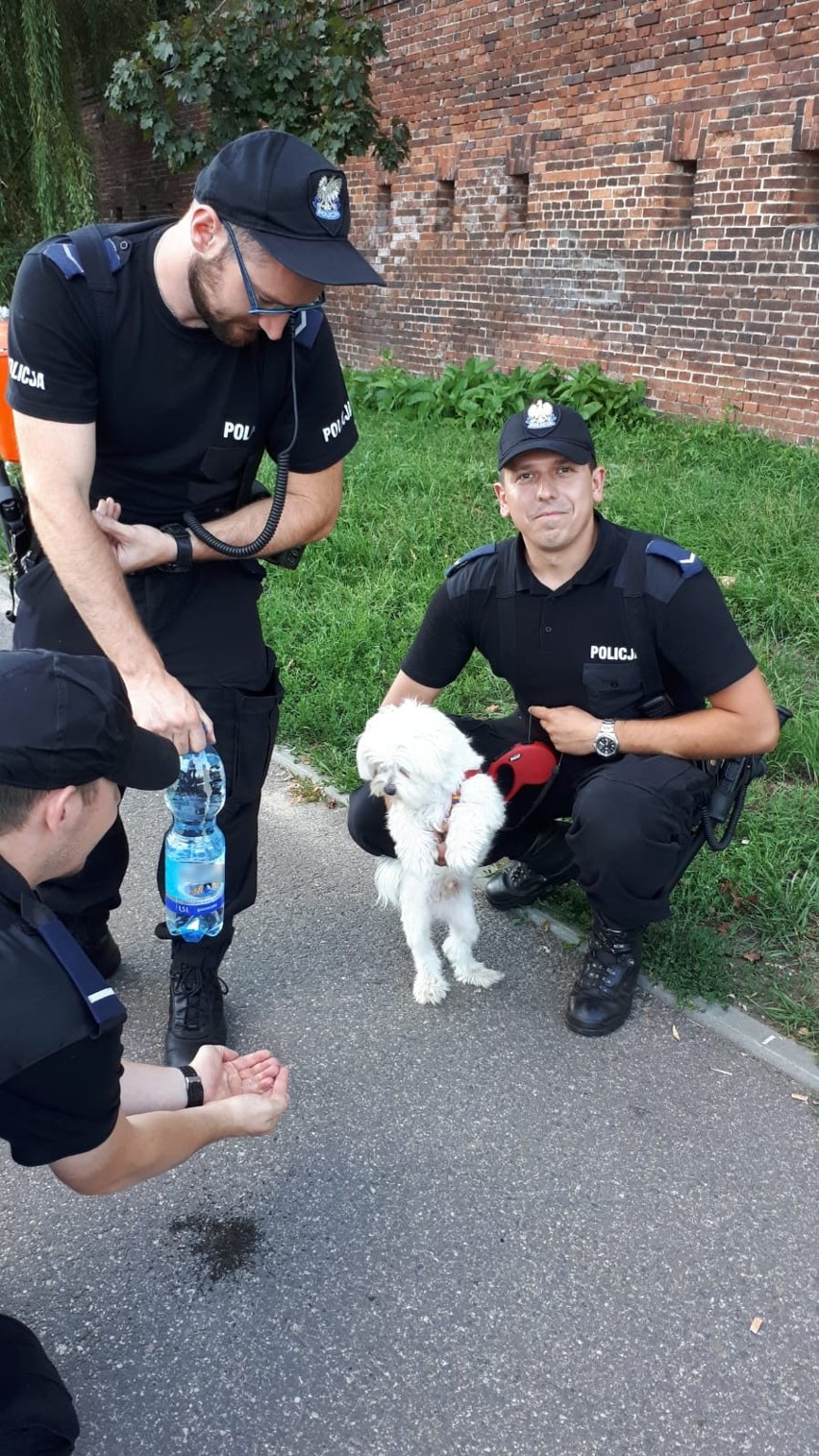 Policjanci z uratowanym psem