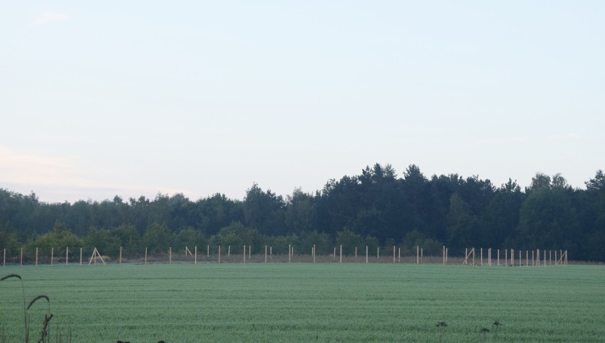 Tuż pod Stargardem wybudują park handlowo-usługowy. Inwestycja za 47 mln zł. Ogrodzili już teren ZDJĘCIA 