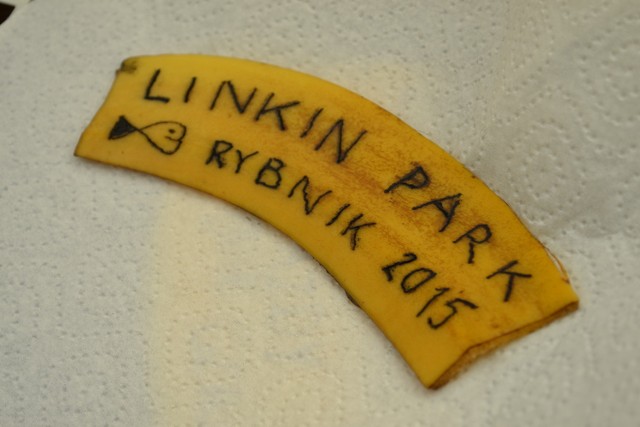 Ink-Ognito Tattoo Fest przed koncertem Linkin park w Rybniku