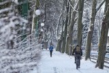 Zima w Poznaniu. Stolica Wielkopolski przysypana śniegiem. Zobacz, jak wygląda i idź na spacer! Warto się pospieszyć!