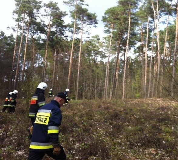51-letni mężczyzna powiesił się na drzewie w lesie koło Pabianic! 