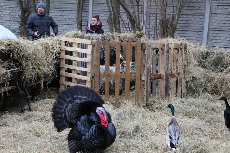 Pierwszy kiermasz świąteczny w suchedniowskiej Kuźnicy z żywą szopką i kolędami