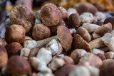 Ceny za 1 kg suszonych grzybów 2023. Tyle kosztują prawdziwki i podgrzybki u zbieraczy albo w sklepie