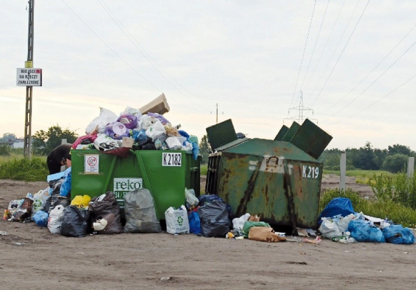 Fotopułapka złapała mężczyznę, który nielegalnie wyrzucał...