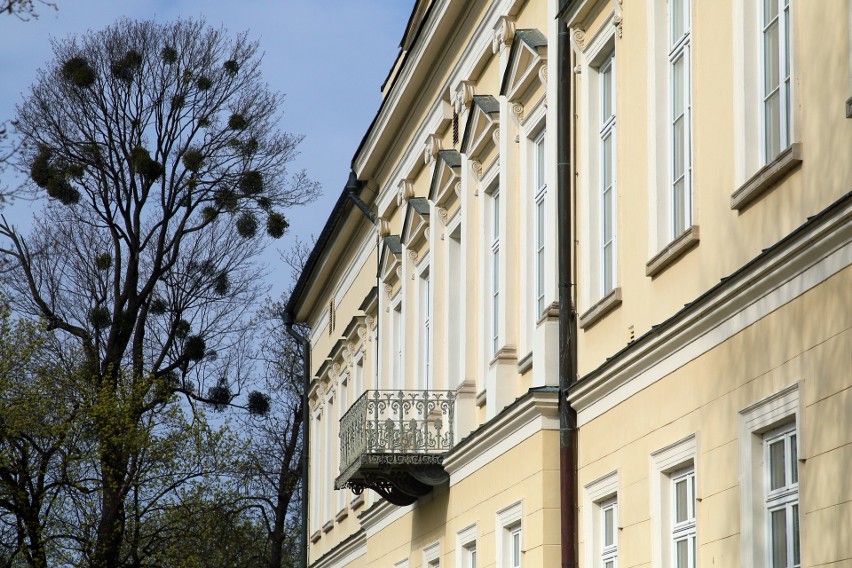 Puławy. Park Czartoryskich w wiosennej odsłonie. Zobacz zdjęcia