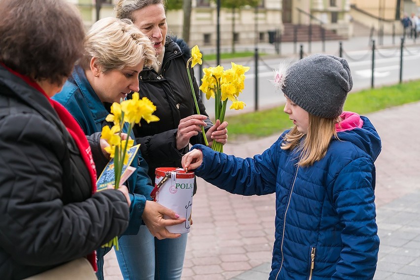 W Nowym Sączu po raz kolejny zakwitły Pola Nadziei