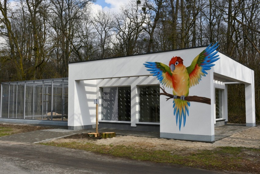 Papugi w poznańskim zoo mają nowy dom! Czekają tam na prawdziwą wiosnę