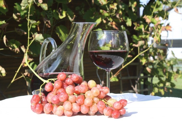 Własne wino z winogron wymaga nieco pracy i doświadczenia, ale jego zrobienie nie jest trudne.