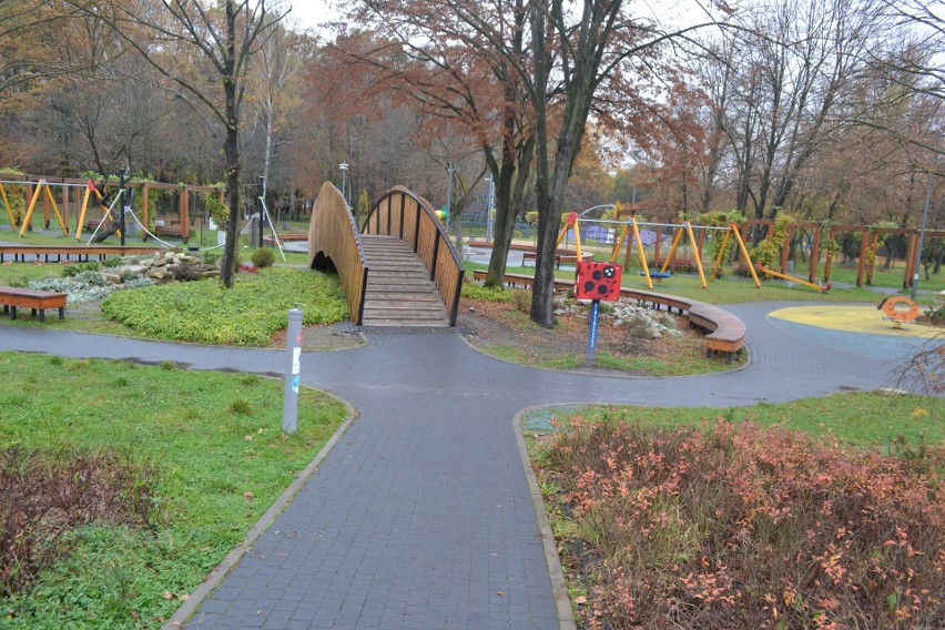 Park Kuronia w Sosnowcu jesienią. Jest ładnie i kolorowo. To dobre miejsce na rodzinny jesienny spacer