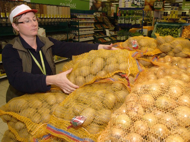 W "Tesco" od dzisiaj aż do środy za 7,49 zł można kupić dwa pięciokilogramowe worki ziemniaków, buraków, cebuli i marchwi. Układa je Wiesława Parol.