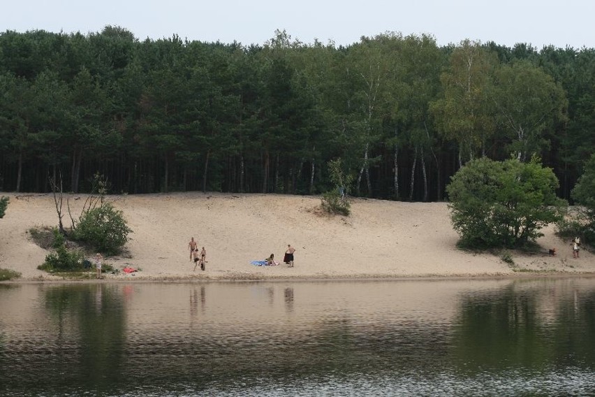 Dzika plaża na terenie należącym do Lasów Państwowych.