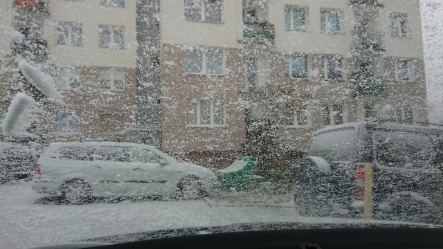 Śnieg w Zielonej Górze. W czwartek, 3 grudnia, biały puch zasypał miasto. Jest magicznie, czy raczej nie przepadacie za śniegiem? Pierwszy śnieg tej zimy!Pierwszy śnieg w Zielonej Górze: 