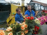 Nowy Sącz. Jak ustawiano tradycyjną palmę na sądeckim rynku? Zobacz archiwalne zdjęcia