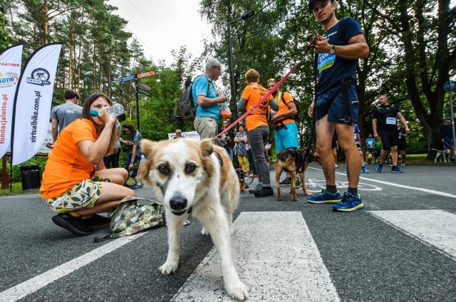 W niedziele, 14 lipca, odbyły się zawody Run Hau. Wydarzenie to wchodzi w skład POLSKA RACE HAU 2019 największego wydarzenia sportowego w Polsce. Dochód przeznaczony zostanie na wsparcie psich schronisk. Zobaczcie zdjęcia >>