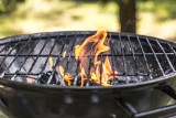 Grill pod chmurką w Krakowie 2021. Zakrzówek? Bagry? Balkon? Gdzie wolno grillować, a gdzie grozi za to mandat? [LISTA MIEJSC] 