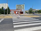 Toruń. Śmierć czekała na pasach. Tragedia pani Danuty, ale także kierowcy autobusu Grzegorza D.