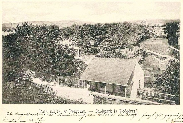 Pocztówka z widokiem parku Bednarskiego