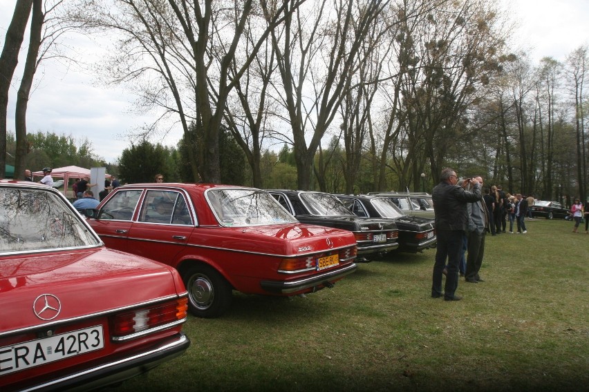 Zlot mercedesów w Kamieniu. Przyjechało prawie 200 mercedesów [ZDJĘCIA]