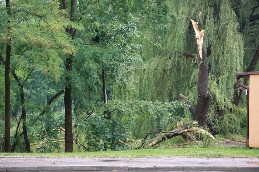 Burza przeszła przez Syców. Połamane drzewa i podtopione domy (ZDJĘCIA)