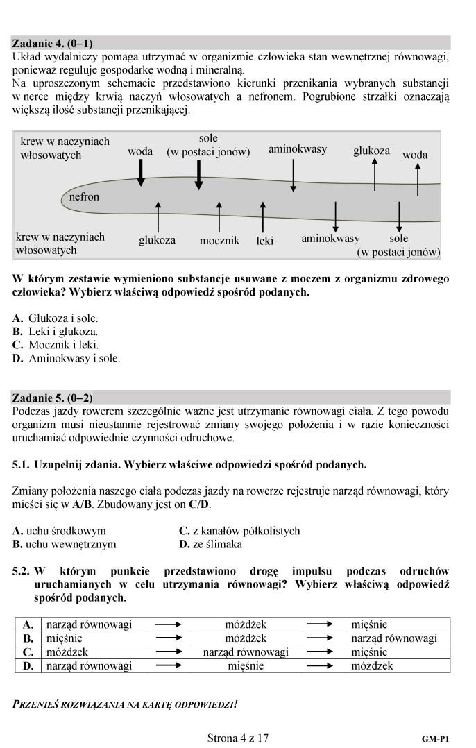 Egzamin gimnazjalny 2018. Co było na teście z matematyki i...